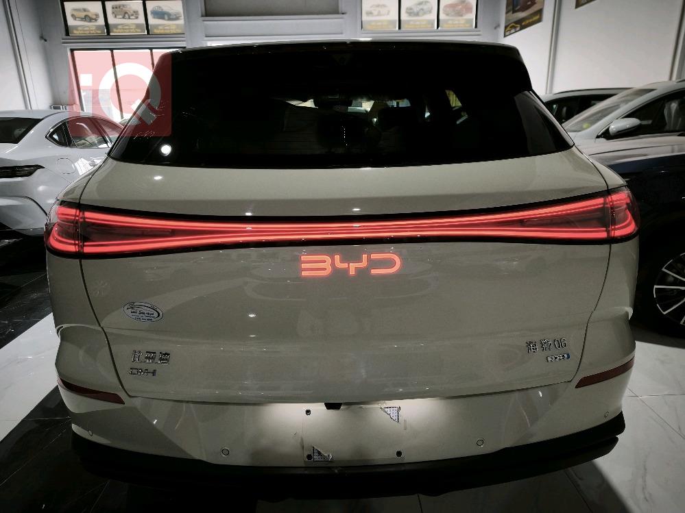 بي واي دي سيليون 06 DM-i